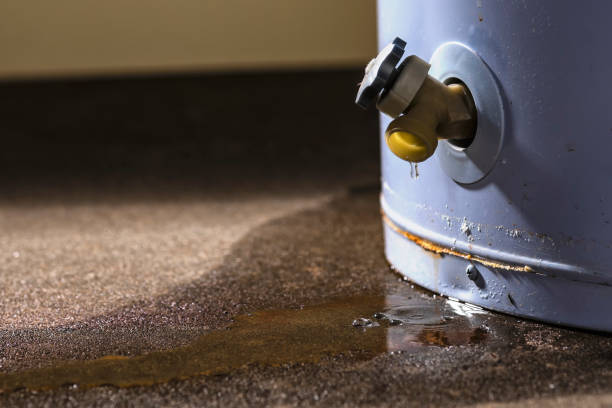 Best 24-hour water damage restoration  in Como, MS