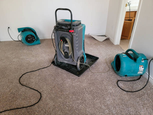 Best Residential water damage restoration  in Como, MS