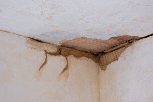 Best Sewage cleanup and water damage restoration  in Como, MS