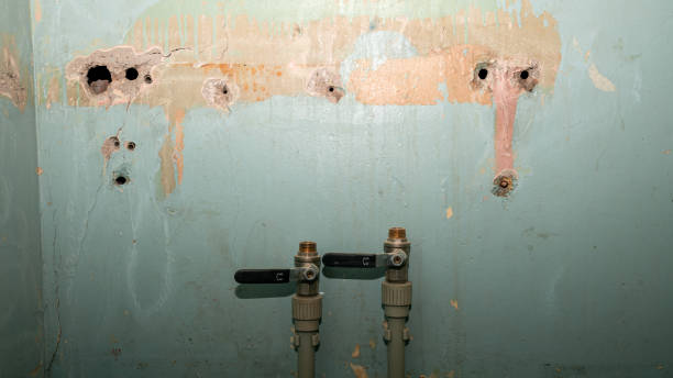 Best Water damage restoration near me  in Como, MS