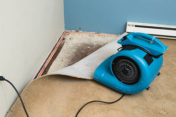 Water damage restoration experts in Como, MS